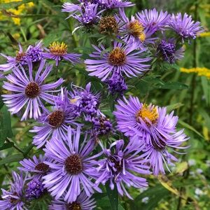 Always Open To Offers - Just LMK!!